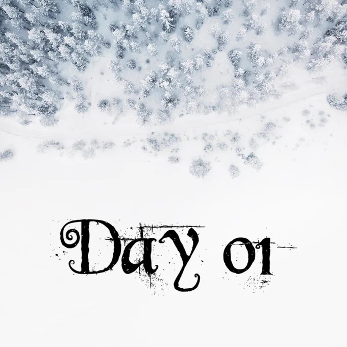 Day 01 door photo a drone image from a snowed in pine wood and the writing says Day 01