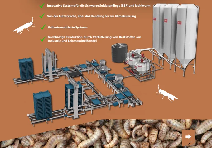 INSECT BREEDING