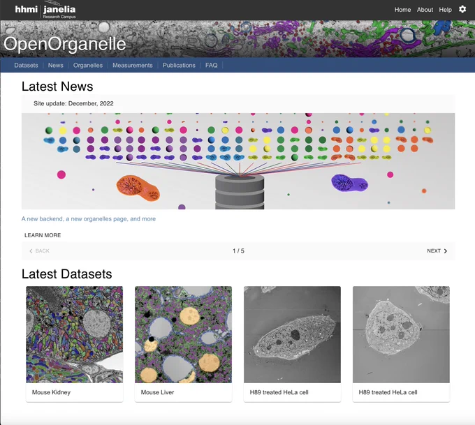 Screen shot of new home page featuring News reel and latest datasets