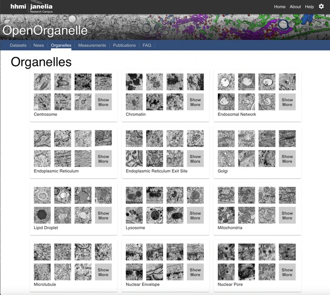 Screenshot of newly updated Organelles page. A thumbnail gallery of EM images for organelles such as centrosomes, mitochondria, nucleus, etc.