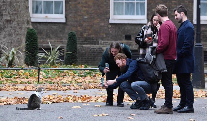Larry posing for photos on Downing Street