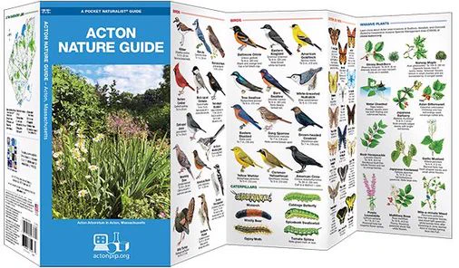 NOW! Sun, Nov 20, 10-1.Buy AB PIP STEM newly updated Acton Nature🌱🌷Guides at the Acton-Boxborough Farmers Market Holiday🎄✡️🌟Market @ Elm Street playground! Support STEM in our community & shop local! $10 each cash or check! www.actonpip.org 