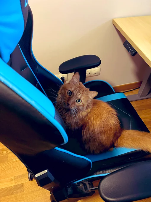 Aparece mi gato Linux sentado en la silla donde trabajo en mi casa.