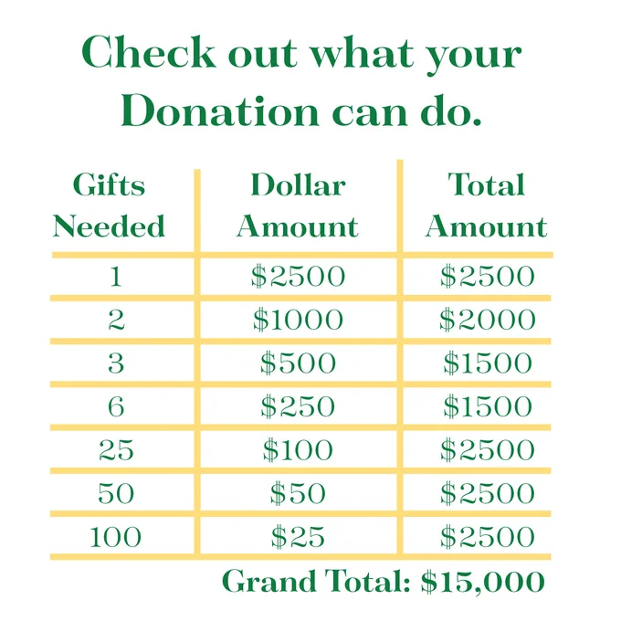 https://www.flipcause.com/secure/cause_pdetails/MTY2NjI0