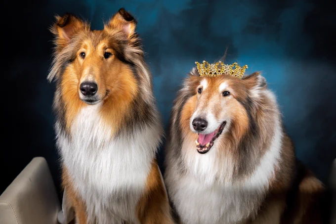 Miss Reveille X and with Miss Reveille IX wearing the Reveille crown 