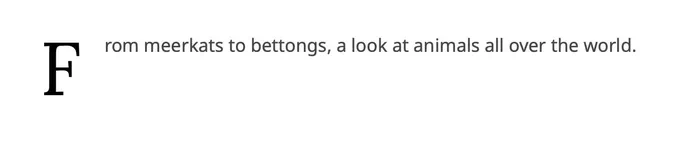[ID: From meerkats to bettongs, a look at animals all over the world.]