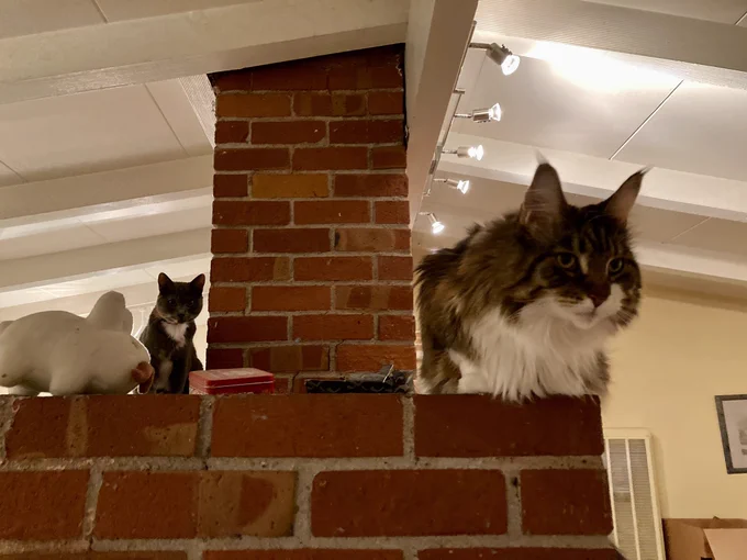 Two cats on either side of a chimney. One looks tiny, one looks huge.