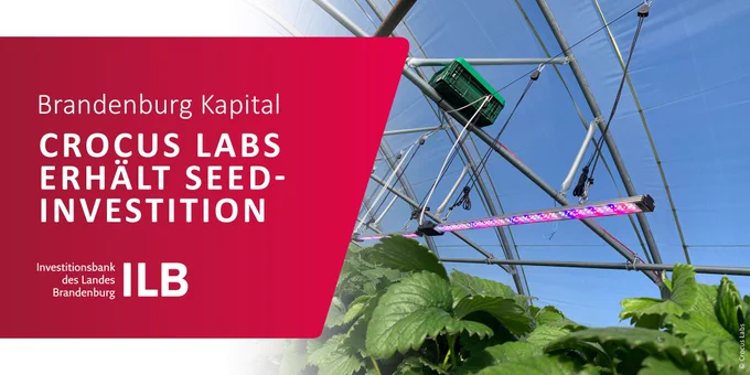 Die LED-Beleuchtungstechnologie der Crocus Labs in einem Gewächshaus
Text: Brandenburg Kapital
Crocus Labs erhält Seed-Investition