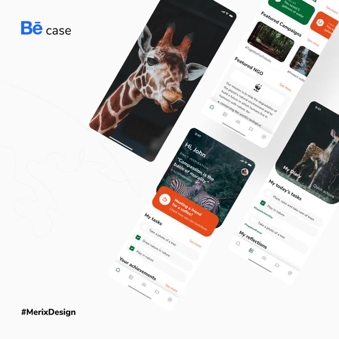 Treasure Earth Behance case study 