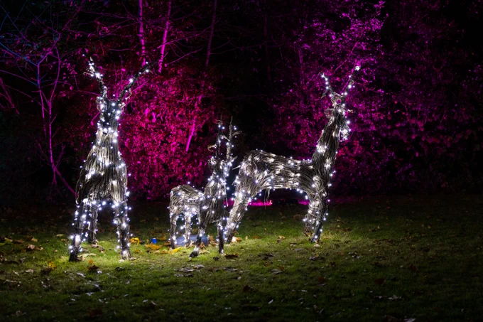 Image of 3 Sparkle in the Park reindeer light fixtures