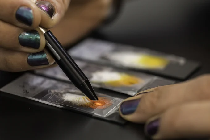 Casta�o uses a spectrophotometer to measure the reflectance of the colors in the feather pigments. 