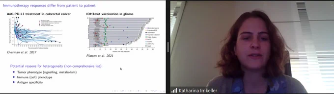iR  Seminar Series: Theory and Applications of Immune Repertoires