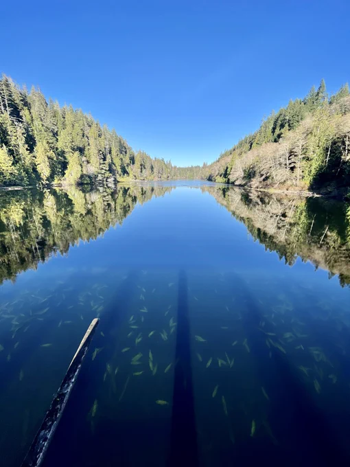 Image of river