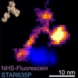 ONE analysis of single molecules - in this case, an isolated immunoglobulin.