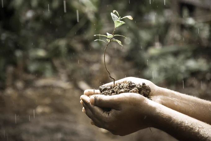 World Soils Day