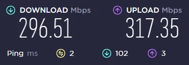Down 296.51 Mbps Up 317.35Mbps