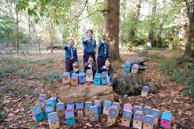 Six Scouts sit or crouch behind a log covered by and surrounded by wooden bird houses, pointing at the camera. 