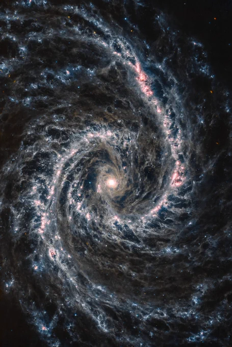 A spiral galaxy with two arms. Pinkish areas dot the brightest points along the arms, while brownish and blueish hues dominate the spaces in between. A complicated web of dust forms the arms with many tendrils also connecting them in the dimmer areas. Pin pricks of light from background galaxies and very few stars are scattered about the image.
