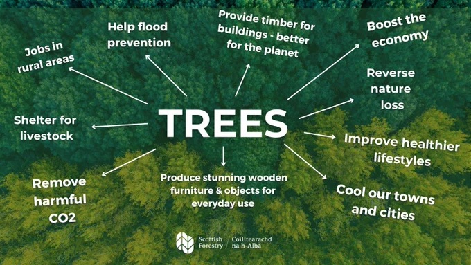 The words Trees in the middle with a number of benefits including, jobs, flood prevention, shelter from livestock, cooling towns and cities, reversing nature loss, boosting economy, providing timber for building and objects for everyday use and improving healthy lifestyles. 