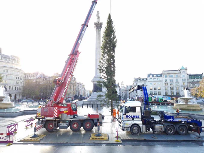 Decidedly less lovely looking tree being installed in Trafalgar Square
