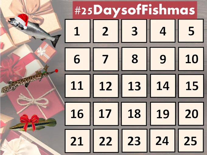 The 2022 #25DaysofFishmas calendar
