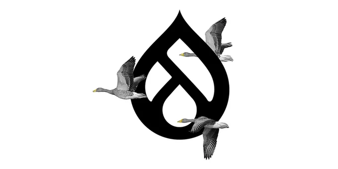 Three geese flying by the Drupal logo