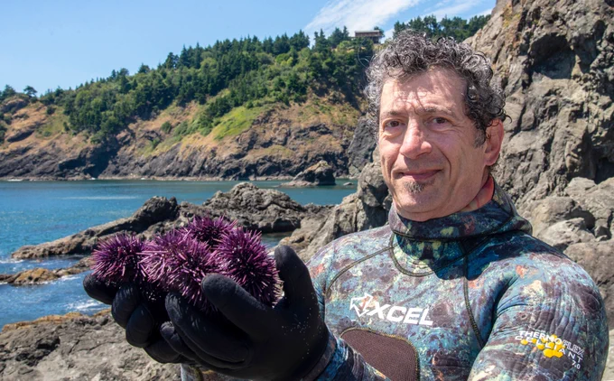 Tom Calvanese holds purple sea urchins he collected during a dive in Port Orford. (photo by Lynn Ketchum)