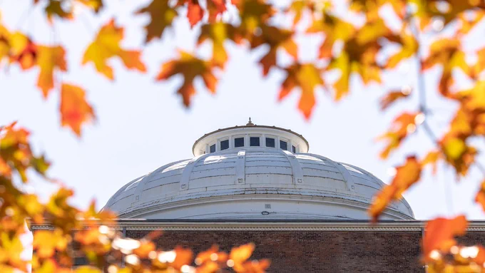 Sibley dome framed by leaves