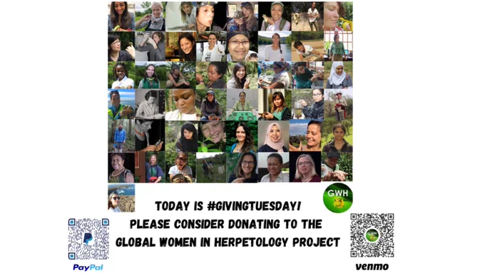"Today is #GivingTuesday ! Please consider donating to the Global Women in Herpetology Project." Collage image of all the women herpetologists authors who have contributed to the book in rows of head shot photos plus the GWH project frog logo. QR code links to Paypal and Venmo: https://www.womeninherpetology.com/donations