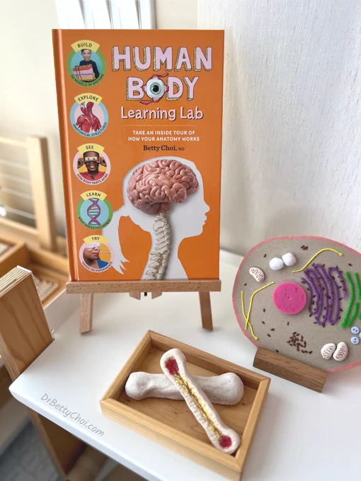 Human Body Learning Lab anatomy science book for children with DIY cardboard cell model and salt dough bones.