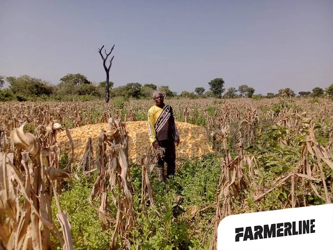 Farmers contribute far more than the food they produce, the first place a farmer makes a difference is on the land, but the impact goes further than that. Farmers support and make a difference in their communities beyond the provision of food and jobs. When farmers succeed, they create a sense of shared prosperity letting their communities benefit from their success. 