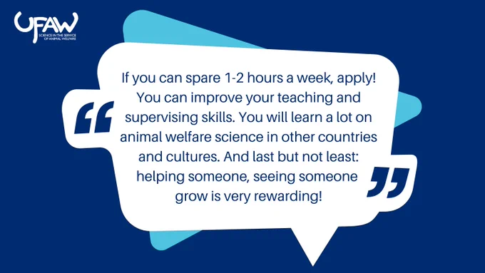 A graphic showing a quote from a previous mentor which reads: "If you can spare 1-2 hours a week, apply! You can improve your teaching and supervising skills. You will learn a lot on animal welfare science in other countries and cultures. And last but not least: helping someone, seeing someone grow is very rewarding!".