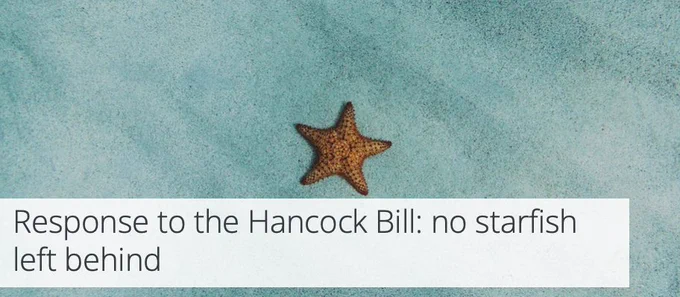 A lone starfish sits just below the surface of crystal clear water. The blog title reads: 'Response to the Hancock Bill: no starfish left behind'
