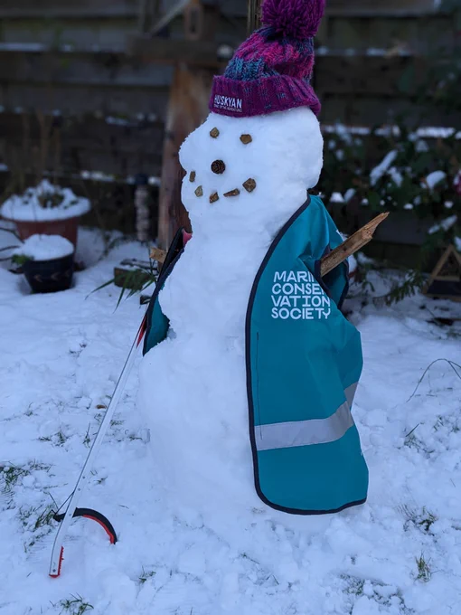Photo of a snowman dressed as a beach cleaner with a marine conservation society tabard, Woolly hat and litter picker