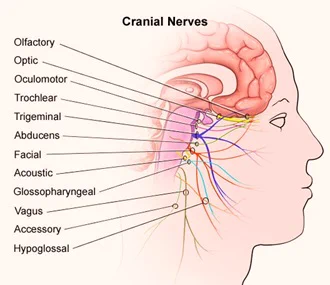 #trigeminalneuralgia #facialpain
http://spr.ly/6016310sq