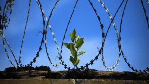 Prison Recidivism: The way forward