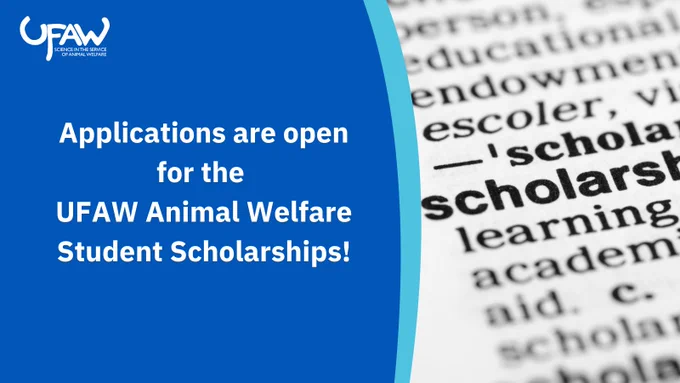 Graphic showing an extract of the definition of 'Scholarship' from the dictionary. 