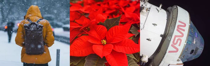 Three spliced images. Starting on the left a view from behind of a person in a yellow coat and backpack in a snowstorm. The middle image is of a cluster of poinsettias and the final image is of the NASA Orion Spacecraft.  