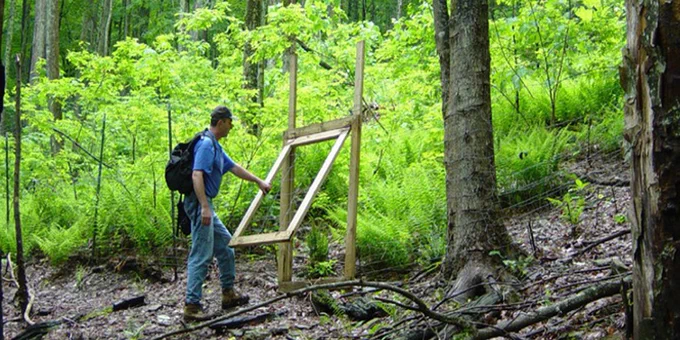 person holding a wooden frame in the woods