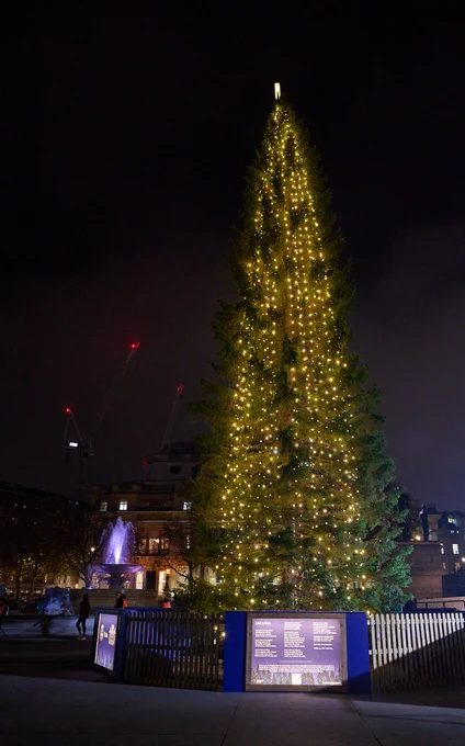 Trafalgar Square Christmas tree lit up with a poem lit up below it