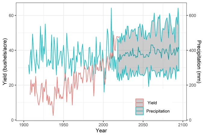 Spring wheat yield (Stats Can) and annual precipitation observed (1908-2017) and projected (2018-2095) at Saskatoon
