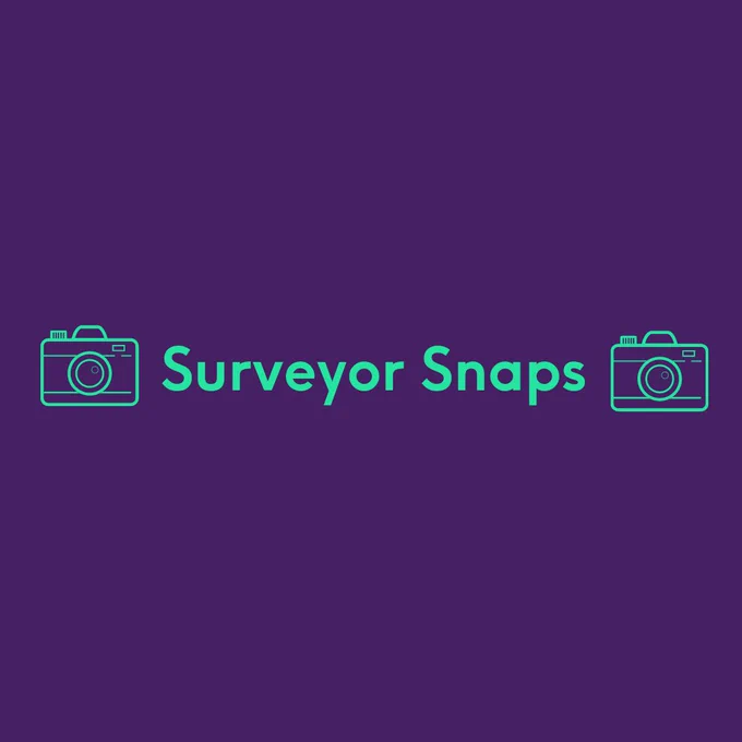 Purple background with green text which says surveyors snaps with two cartoon cameras. 