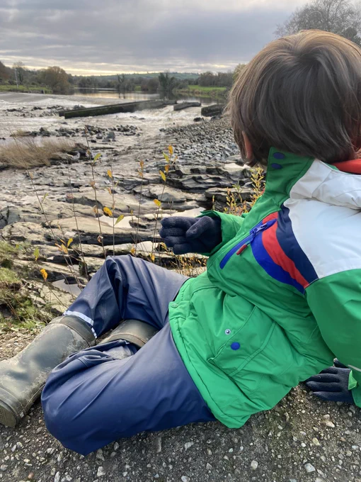 Picture of a child watching the river
