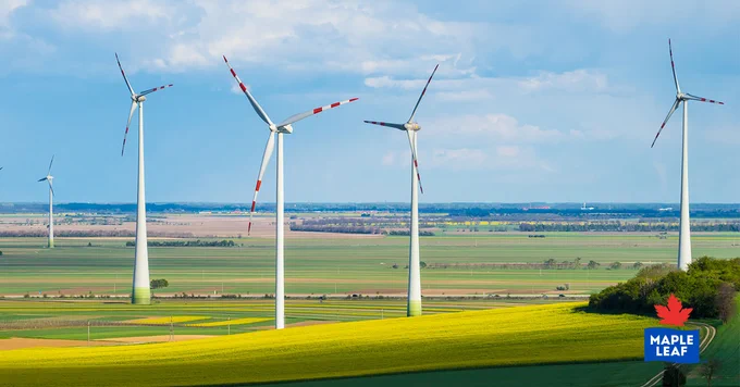 windmills in a field
