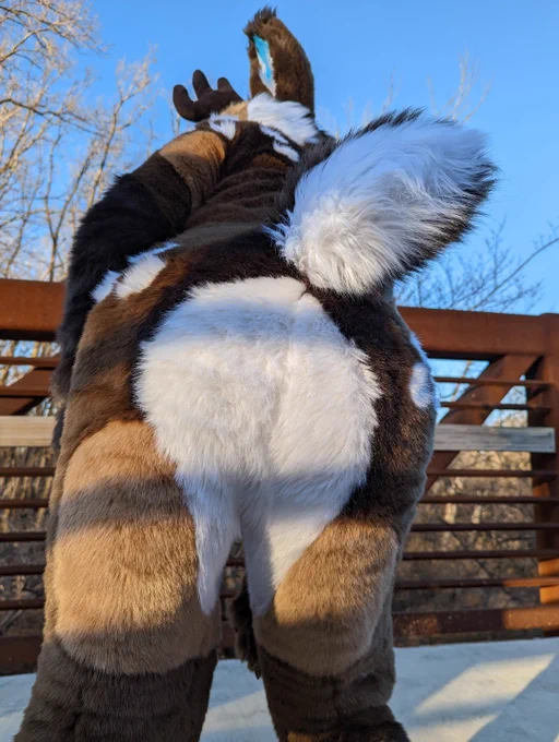 Zeke make's Tass' butt look cuter than usual