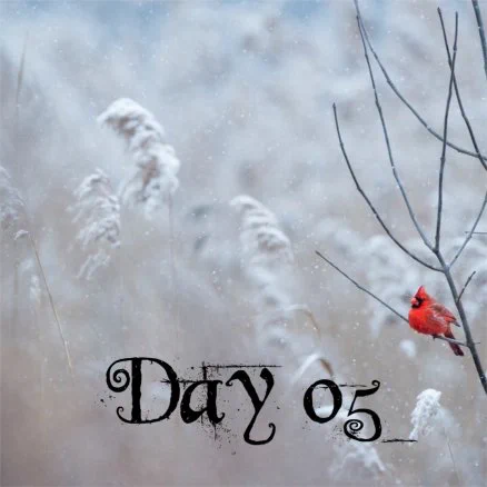 Day five calendar door, the background is snow covered grass stalks, it is snowing, in the foreground to the right barren twigs make a seat for a bright red cardinal bird
