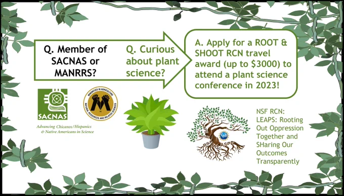 A panel showing on the left the logos of SACNAS and MANRRS and to the right the ROOT & SHOOT logo. The text says, "member of SACNAS or MANRRS? Curious about plant science? Apply for a ROOT & SHOOT RCN travel award (up to $3000) to attend a plant science conference in 2023!