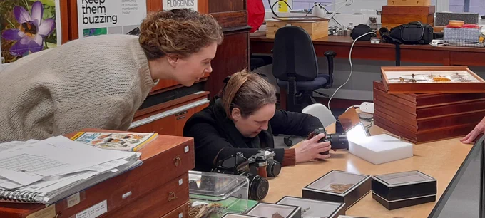 @MeganPowell122 visit to Entomology, Manchester Museum
