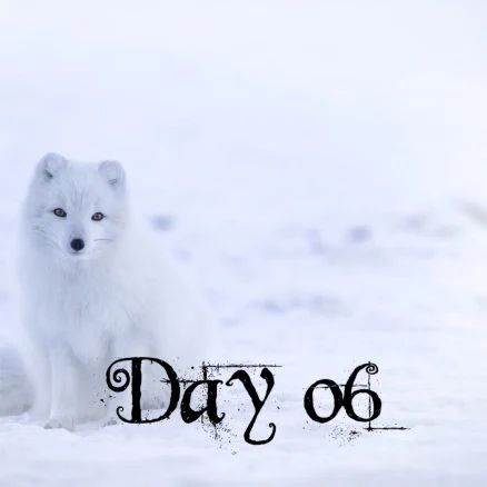 Day six door the whole image is snow to the left an arctic fox stares straight into the camera, he looks as if he is smiling