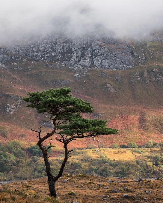 The North Coast 500 Photography Tour – “Scotland’s Route 66”
09th - 20th Oct, 2023
Tutored by Phil Malpas

https://www.lightandland.co.uk/photography-tours/view/the-north-coast-500-photography-tour-scotlands-route-66-oct-2023